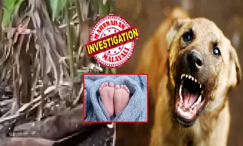 ഏല തോട്ടത്തിനുള്ളിലെ ഒരു അനക്കം ശ്രദ്ധിച്ചു; പരിശോധനയിൽ തൊഴിലാളികളുടെ നെഞ്ചുലഞ്ഞു; നായ്ക്കള്‍ കടിച്ചു പറിച്ച നിലയിൽ നവജാത ശിശുവിന്റെ മൃതദേഹം; ദമ്പതികൾ കസ്റ്റഡിയിൽ; കുഴിച്ചുമൂടിയതെന്ന് സംശയം; വൻ ദുരൂഹത; പോസ്റ്റുമോർട്ടം റിപ്പോർട്ട് വരട്ടെയെന്ന് പോലീസ്