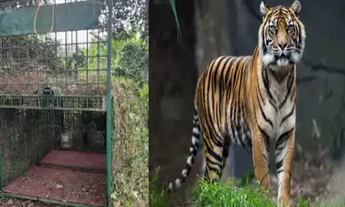 രാവിലെ മണ്ണിൽ പുതഞ്ഞ പാടുകൾ കണ്ട് നാട്ടുകാർ പേടിച്ചു; ദൃശ്യങ്ങൾ പരിശോധിച്ചപ്പോൾ പരിഭ്രാന്തി; കൂട്ടില്‍ ആടിനെ കെട്ടിയിട്ട് കെണിയൊരുക്കി; ചാലക്കുടിക്കാരുടെ ഉറക്കം കെടുത്തി പുലി ഭീതി