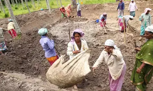 കേരളത്തില്‍ തൊഴിലുറപ്പ് കൂലി 23 രൂപ കൂട്ടി; ഏപ്രില്‍ ഒന്നു മുതല്‍ പുതിയ നിരക്ക്