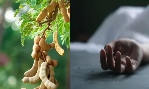 മരത്തിൽ കയറി പുളി പറിക്കുന്നതിനിടെ അപകടം; താഴേയ്ക്ക് വഴുതി വീണു; ഗൃഹനാഥന് ദാരുണാന്ത്യം; മൃതദേഹം മോർച്ചറിയിലേക്ക് മാറ്റി