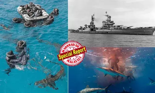 ഓരോ മിനിട്ടിലും മിന്നല്‍ പോലെ പാഞ്ഞടുത്ത സ്രാവുകള്‍; മരണവെപ്രാളത്തില്‍ രക്ഷപ്പെടാനായി കൂട്ടുകാരുടെ മൃതദേഹങ്ങള്‍ സ്രാവുകള്‍ക്ക് എറിഞ്ഞുകൊടുത്ത് നാവികര്‍; ജീവനുള്ളവരെയും പിടികൂടി സ്രാവുകള്‍; കടല്‍ മുഴുവന്‍ ചോരക്കളം; രണ്ടാം ലോകമഹായുദ്ധ കാലത്തെ കപ്പല്‍ ദുരന്തത്തിന്റെ ഞെട്ടിക്കുന്ന വിവരങ്ങള്‍ പുറത്ത്