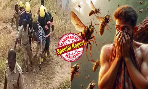 ഊട്ടിയിലെ വിനോദസഞ്ചാര കേന്ദ്രത്തിൽ കടന്നൽ ആക്രമണം;കൂട്ടമായി ഇരച്ചെത്തി തേനീച്ചകൾ; ആളുകൾ കുതറിയോടി; അപകടത്തിൽ മലയാളി യുവാവിന് ദാരുണാന്ത്യം; ഒരാൾക്ക് ഗുരുതര പരിക്ക്; കൂടിന് ആരോ കല്ലെറിഞ്ഞെന്ന് സംശയം; പോലീസ് സ്ഥലത്തെത്തി