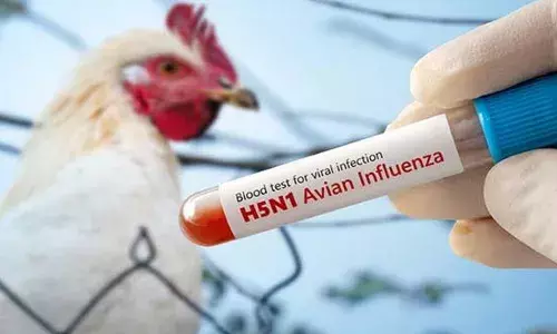 കുഞ്ഞിന് കഴിക്കാന്‍ മാതാപിതാക്കള്‍ നല്‍കിയത് പച്ച കോഴിയിറച്ചി; പക്ഷിപ്പനി ബാധിച്ച് രണ്ട് വയസ്സുകാരി ദാരുണമായി മരിച്ചു