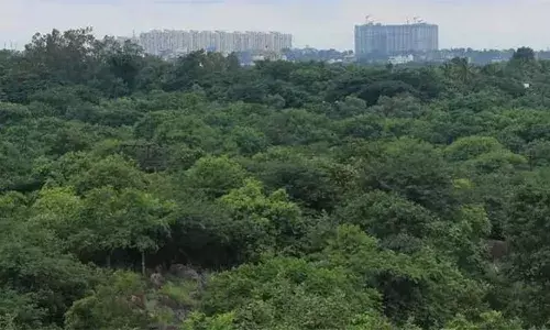 കാഞ്ച ഗച്ചിബൗളിയിലെ 400 ഏക്കര്‍ ലേലത്തിന് ഹൈക്കോടതി സ്റ്റേ; തെലങ്കാന സര്‍ക്കാരിന് തിരിച്ചടിയായി കോടതി വിധി