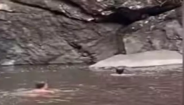 യുവാവിനെ വെള്ളച്ചാട്ടത്തിൽ കാണാതായി; തിരച്ചിൽ തുടരുന്നു; ഇത് ആഴമുള്ള സ്ഥലമെന്ന് നാട്ടുകാർ; ഫയർഫോഴ്സ് സ്ഥലത്തെത്തി