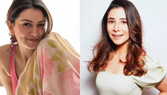 മോട്വാനി കുടുംബത്തിനെതിരെ സഹോദര ഭാര്യ നല്‍കിയ ഗാര്‍ഹിക പീഡന പരാതി; പരാതിയില്‍ കഴമ്പില്ലെന്ന് ഹന്‍സിക; കേസ് തള്ളണമെന്ന് ആവശ്യപ്പെട്ട് താരം കോടതിയില്‍