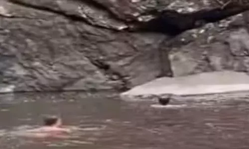 യുവാവിനെ വെള്ളച്ചാട്ടത്തിൽ കാണാതായി; തിരച്ചിൽ തുടരുന്നു; ഇത് ആഴമുള്ള സ്ഥലമെന്ന് നാട്ടുകാർ; ഫയർഫോഴ്സ് സ്ഥലത്തെത്തി