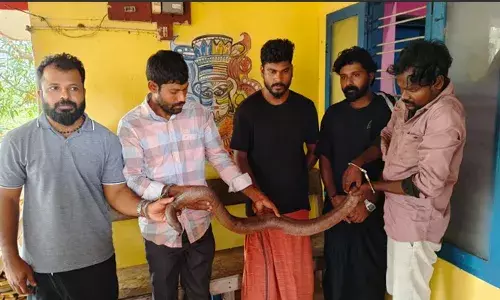 പയ്യന്നൂരില്‍ ഇരുതലമൂരിയുമായി അഞ്ച് പേര്‍ പിടിയില്‍