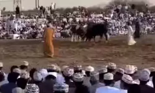 ചെറു ഗ്രൗണ്ടിൽ കാളയുമായി മല്പിടിത്തം; ആർത്തുവിളിച്ച് കാണികൾ; പൊടുന്നനെ ആക്രമണം; ഒമാനിൽ കാളപ്പോര് മത്സരത്തിനിടെ കാളയുടെ കുത്തേറ്റ് ഒരാൾക്ക് ദാരുണാന്ത്യം; നിരവധി പേർക്ക് പരിക്ക്