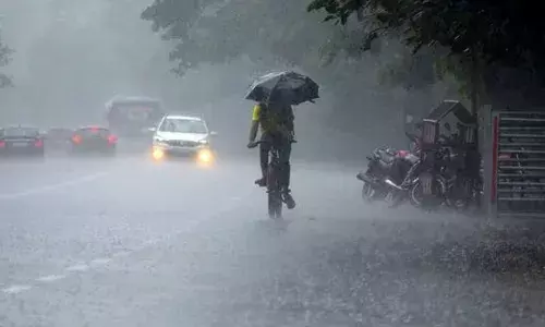 കേരളത്തില്‍ എല്ലാ ജില്ലകളിലും മഴയ്ക്ക് സാധ്യത; ഏഴ് ജില്ലകളില്‍ യെല്ലോ അലര്‍ട്ട്; ഇടിമിന്നലിനും ശക്തമായ കാറ്റിനും സാധ്യത