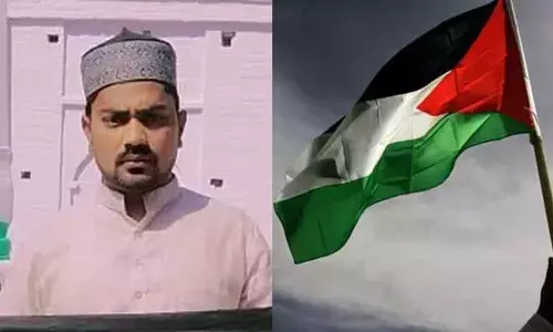 പെരുന്നാള്‍ ദിനത്തില്‍ ഫലസ്തീന്‍ പതാക വീശിയ വൈദ്യുതിവകുപ്പ് ജീവനക്കാരനെ പിരിച്ചുവിട്ടു