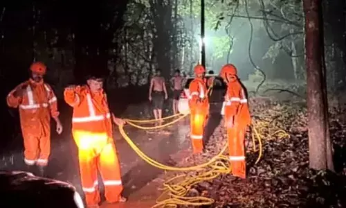 കല്യാണ വീട്ടില്‍ നിന്നും മടങ്ങിയത് ഗൂഗിള്‍ മാപ്പിട്ട്; രാത്രിയില്‍ അധ്യാപകര്‍ ചെന്ന് പെട്ടത് നിലമ്പൂര്‍ ഉള്‍വനത്തില്‍: കാര്‍ ചെളിയില്‍ കുടുങ്ങിയതോടെ രക്ഷപ്പെടുത്തിയത് ഫയര്‍ഫോഴ്‌സ് എത്തി