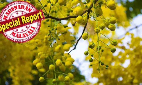 വിഷു എന്ന് കേള്‍ക്കുമ്പോള്‍ മലയാളിയുടെ മനസ്സില്‍ നിറയുന്നത് കണിക്കൊന്നയുടെ ചിത്രമാണ്; പൊന്‍പുഷ്പം ഇല്ലാതെ വിഷുക്കണി പൂര്‍ണമാകില്ലെന്ന് വിശ്വാസം; കൊന്നയ്ക്ക് ഇത്രയും പ്രാധാന്യം വന്നതിന് പിന്നില്‍ രസകരമായ കഥ വടക്കന്‍ കേരളത്തില്‍ പ്രചാരത്തിലുണ്ട്; അതിങ്ങനെയാണ്