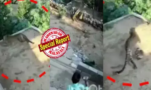 വീട്ടുമുറ്റത്ത് വളർത്തുനായകളുമായി കളിക്കുന്ന കുട്ടി; പൊടുന്നനെ അപ്രതീക്ഷിത എൻട്രി; മുറ്റത്തേക്ക് കുതിച്ചുപാഞ്ഞെത്തി പുലി; ഭയന്ന് നിലവിളിച്ച് കുഞ്ഞും നായ്ക്കളും; അതെ സ്പീഡിൽ തിരിഞ്ഞോടി; രക്ഷപ്പെട്ടത് തലനാരിഴയ്ക്ക്; നടുക്കും ദൃശ്യങ്ങൾ പുറത്ത്