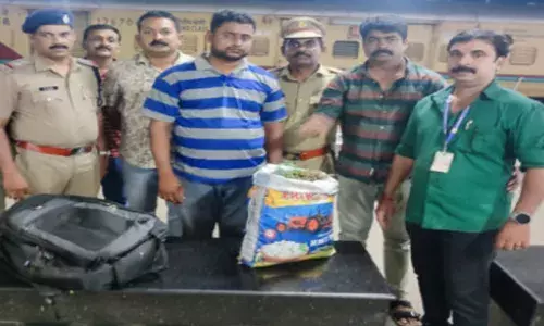 മാന്യമായി ട്രെയിനിൽ നിന്നും വന്നിറങ്ങി; വല വിരിച്ച് എക്സൈസ്‌; പരിശോധനയിൽ പൊക്കി; കഞ്ചാവുമായി ഗൗഡ അറസ്റ്റിൽ; 6 കിലോ വരെ പിടിച്ചെടുത്തു; സംഭവം കോട്ടയത്ത്