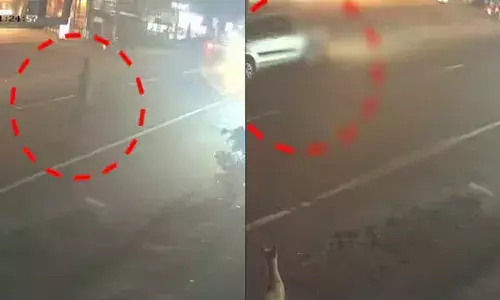 പൂച്ചയെ രക്ഷിക്കാന്‍ ബൈക്ക് നിര്‍ത്തി റോഡിലേക്ക് ഇറങ്ങി; തൃശൂരില്‍ യുവാവ് കാറിടിച്ചു മരിച്ചു