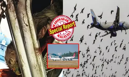 വർഷങ്ങളായി തുടരുന്ന പ്രശ്‌നം; വിമാനം ആകാശത്ത് കുതിച്ചുയർന്നാൽ കൂട്ടിയിടി ഉറപ്പ്; ഇതുവരെ അപകടത്തിൽപ്പെട്ടത് 124 ഫ്ലൈറ്റുകൾ; പൈലറ്റുമാരുടെ കണക്കിൽ കേസുകൾ ഏറെ; മാലിന്യങ്ങൾ വലിച്ചെറിയുന്നത് പ്രധാന തിരിച്ചടി; തലസ്ഥാനത്തെ എയർപോർട്ടിൽ ആശങ്ക മാത്രം; യോഗം വിളിച്ച് മുഖ്യമന്ത്രി; തുരത്തിയിട്ടും അകലാതെ പക്ഷിക്കൂട്ടങ്ങള്‍!