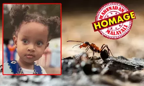 ഉറുമ്പ് കടിയേറ്റ് രണ്ട് വയസുകാരി മരിച്ചു; അലര്‍ജി നേരിടുന്ന മരുന്നു നല്കുന്നത് വൈകിയെന്ന് കുടുംബം; ആശുപത്രിയുടെ വീഴ്ച്ചയെന്ന് ആരോപണം