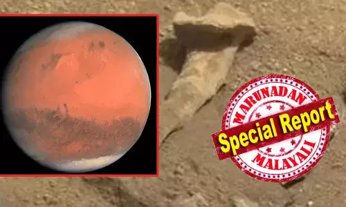 ചൊവ്വ പണ്ട് ഭൂമിയെക്കാള്‍ വലിയ ആവാസ വ്യവസ്ഥ; മറ്റൊരു ഭൂഖണ്ഡവുമായുള്ള ആണവ യുദ്ധത്തില്‍ ജീവനെല്ലാം പൊലിഞ്ഞ് മരുഭൂമിയായി; ഭൂമിയിലെ മനുഷ്യന്‍ ശ്രമിക്കുന്നത് വീണ്ടും ചൊവ്വയിലെ ജീവന്‍ കണ്ടെത്തി തിരിച്ചു പിടിക്കാന്‍: ഹാര്‍വാര്‍ഡ് ശാസ്ത്രജ്ഞന്റെ കണ്ടെത്തല്‍ ഏറ്റെടുത്ത് ലോകം