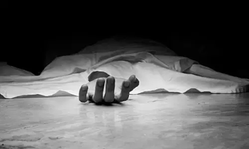 കാപ്പി തോട്ടത്തില്‍ ജോലി ചെയ്യുന്നതിനിടെ അപകടം; തേനീച്ച കുത്തേറ്റ് വയോധികന് ദാരുണാന്ത്യം; സംഭവം കൽപറ്റയിൽ