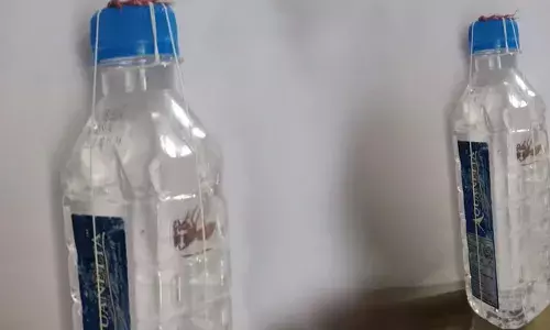 കുപ്പിവെള്ളത്തില്‍ ചത്ത ചിലന്തിയെ കണ്ടെത്തിയ സംഭവം; നിര്‍മാണ കമ്പനിക്ക് ഒരുലക്ഷം രൂപ പിഴയിട്ട് കോടതി