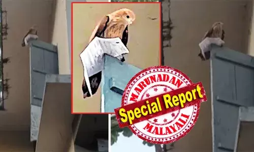 ചിലര്‍ കല്ലെടുത്തറിയാന്‍ ഉപദേശിച്ചെങ്കിലും ഹാള്‍ടിക്കറ്റുമായി ദൂരേക്ക് പറന്നുപോയാലോ എന്ന ചിന്ത കാരണം അതു ചെയ്തില്ല; യാചനയോടെ ആ യുവതി തൊഴു കൈയ്യുമായി കാത്തു നിന്നു; പരീക്ഷയ്ക്ക് അവസാന ബെല്ലടിക്കും മുമ്പ് ഹാള്‍ ടിക്കറ്റ് തിരികെ നല്‍കി പറന്നകന്നു; അശ്വതിയുടെ പ്രമോഷന്‍ തട്ടിയെക്കാന്‍ ആഗ്രഹിക്കാത്ത പക്ഷി സ്‌നേഹം; കാസര്‍കോട്ടെ വില്ലന്‍ പരുന്ത് ക്ലൈമാക്‌സില്‍ നായകനായപ്പോള്‍