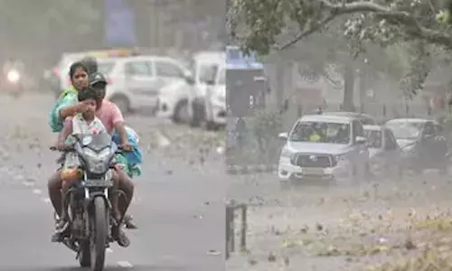 ഡൽഹിയെ വിറപ്പിച്ച് പൊടിക്കാറ്റ്; ആഞ്ഞുവീശിയ കാറ്റിൽ മരങ്ങൾ അടക്കം കടപുഴകി വീണു; പരിഭ്രാന്തിയിൽ ജനങ്ങൾ; പലയിടത്തും ഗതാ​ഗതം തടസ്സപ്പെട്ടു; ജാഗ്രത വേണമെന്ന് അധികൃതർ