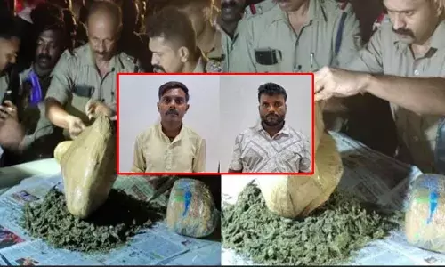 പാപ്പിനിശ്ശേരിയില്‍ ബസില്‍ ലഹരി കടത്ത്; അഞ്ചര കിലോ കഞ്ചാവുമായി യുപി സ്വദേശികള്‍ അറസ്റ്റില്‍