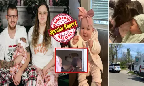 മൊത്തത്തിൽ മൂന്നെണ്ണം ഉണ്ടായിരുന്നു; അവർ ഒരുമിച്ച് നല്ല ഹാപ്പിയായി സമാധാനപരമായി കളിച്ചിരുന്നതാണ്; പിന്നീട് എന്താണ് ഇപ്പോൾ സംഭവിച്ചതെന്ന് അറിയില്ല; പിറ്റ് ബുൾ നായയുടെ കടിയേറ്റ് കുരുന്ന് ജീവന് ദാരുണാന്ത്യം; അമ്മയുടെ വൈകാരികകുറിപ്പ്!