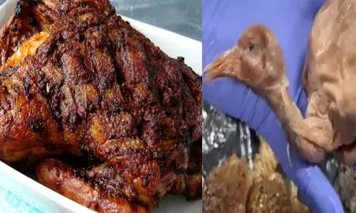 നല്ല ചവർപ്പ് ഉണ്ട് കേട്ടോ...; ഭക്ഷണം രുചിക്കുമ്പോൾ ആളുകളുടെ മുഖത്ത് ഭാവ വ്യത്യാസം; പലരും പരസ്പരം നോക്കി; താറാവ് റോസ്‌റ്റെന്ന പേരിൽ ഇവർ നൽകിയത് മറ്റൊന്ന്; ചൈനീസ് റെസ്‌റ്റോറന്റ് പൂട്ടിച്ചു