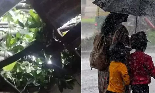 കണ്ണൂരിലും വയനാട്ടിലും ശക്തമായ മഴയും കാറ്റും; വീടിന് മുകളില്‍ മരം കടപുഴകി വീണു; വയനാട്ടില്‍ മഴയില്‍ കൃഷിനാശം; സംസ്ഥാനത്ത് അടുത്ത മൂന്ന് മണിക്കൂറിനുള്ളില്‍ പരക്കെ മഴയ്ക്ക് സാധ്യതയെന്ന് കേന്ദ്ര കാലാവസ്ഥാ വകുപ്പ് മുന്നറിയിപ്പ്