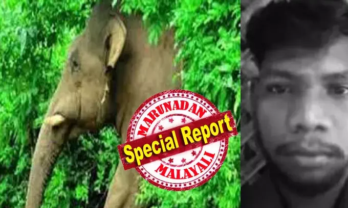 അതിരപ്പിള്ളിയില് വീണ്ടും ജീവനെടുത്ത് കാട്ടാന; വഞ്ചികടവില് വനവിഭവങ്ങള് ശേഖരിക്കാന് പോയ അംബികയുടേയും സതീഷിന്റേയും ജീവനെടുത്ത് ആനക്കലി; കാട്ടാന ആക്രമിച്ചത് കുടില്കെട്ടി പാര്ക്കുകയായിരുന്ന കുടുംബത്തെ; മരിച്ചത് വാഴച്ചാല് ശാസ്താം പൂവം ഉന്നതിയിലുള്ളവര് അതിരപ്പിള്ളിയില് വീണ്ടും ജീവനെടുത്ത് കാട്ടാന; വഞ്ചികടവില് വനവിഭവങ്ങള് ശേഖരിക്കാന് പോയ അംബികയുടേയും സതീഷിന്റേയും ജീവനെടുത്ത് ആനക്കലി; കാട്ടാന ആക്രമിച്ചത് കുടില്കെട്ടി പാര്ക്കുകയായിരുന്ന കുടുംബത്തെ; മരിച്ചത് വാഴച്ചാല് ശാസ്താം പൂവം ഉന്നതിയിലുള്ളവര്