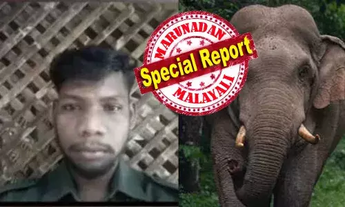 തേന്‍ എടുക്കാന്‍ മൂന്ന് ദിവസമായി പിക്‌നിക് പോയിന്റിന് സമീപം ടെന്റ് കെട്ടി താമസിച്ചത് രണ്ട് ദമ്പതികള്‍; രാത്രിയില്‍ കാട്ടാനെ പാഞ്ഞടുത്തപ്പോള്‍ എല്ലാവരും പലവഴിക്ക് ഓടി; സതീഷിനേയും അംബികയേയും തുമ്പിക്കൈയ്ക്ക് അടിച്ചിട്ടത് മഞ്ഞക്കൊമ്പന്‍; മദപ്പാടുള്ള ആന ഉയര്‍ത്തുന്നത് വമ്പന്‍ ഭീതി; ആദിവാസികളുടെ മരണ കാരണം കാരണം ആനക്കലിയെന്ന് പറയാതെ വനംവകുപ്പിന്റെ വിശദീകരണം; അതിരപ്പിള്ളിയില്‍ രണ്ടു ദിവസത്തിനിടെ മൂന്ന് മരണം