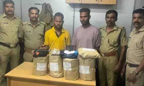 കെഎസ്ആർടിസി ബസിൽ കഞ്ചാവ് കടത്താൻ ശ്രമം; വാളയാർ ചെക്ക് പോസ്റ്റിൽ ഒഡീഷ സ്വദേശികൾ പിടിയിൽ; എക്‌സൈസിന്റെ പരിശോധനയിൽ കണ്ടെടുത്തത് 23 കിലോ കഞ്ചാവ്