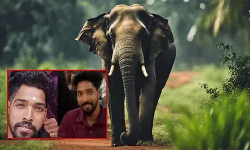 അതിരപ്പള്ളിയിൽ നാളെ ഹർത്താൽ; ആർആർടി സംവിധാനം കാര്യക്ഷമമാക്കണമെന്ന് ആവശ്യം ശക്തം; ഹർത്താൽ എല്ലാ രാഷ്ട്രീയ പാർട്ടികളുടെയും പിന്തുണയോടെ