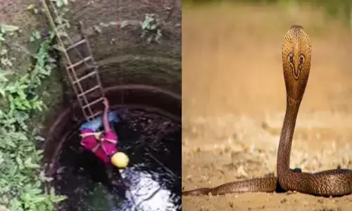 ഞാൻ വരൂല..; ആദ്യം ഏണിയറക്കി നോക്കി നടന്നില്ല; കുട്ടയിറക്കിയിട്ടും രക്ഷയില്ല; രണ്ടുദിവസമായി കിണറ്റിൽ നിന്ന് പിടിതരാതെ അതിഥി; ഒന്ന് കേറി വാടാ മക്കളെയെന്ന് നാട്ടുകാർ