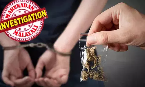 ബെംഗളൂരുവില്‍ വന്‍ കഞ്ചാവ് വേട്ട; വിവിധ സ്ഥലങ്ങളിലായി നടന്ന റെയ്ഡില്‍ പിടിച്ചെടുത്തത് 6.77 കോടി രൂപയുടെ ലഹരിമരുന്ന്; ഒന്‍പത് മലയാളികള്‍ ഉള്‍പ്പെടെ പത്ത് പേര്‍ അറസ്റ്റില്‍; ട്രെന്റായി ഹൈഡ്രോപോണിക്‌സ് കഞ്ചാവ്