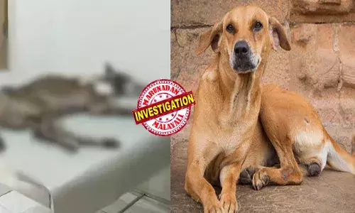 വിളിച്ചപ്പോൾ അടുത്ത് വരാത്തതിൽ ദേഷ്യം; അടിച്ചുപൂസായി സ്വന്തം വളർത്തുനായയെ വെട്ടിനുറുക്കി ക്രൂരത; ശരീരത്തിൽ പത്തോളം ആഴത്തിലുള്ള മുറിവുകൾ; ഒടുവിൽ ചികിത്സയിലായിരുന്ന ആ മിണ്ടാപ്രാണി ചത്തു; ഉടമയ്‌ക്കെതിരെ കേസെടുക്കുമെന്ന് പോലീസ്