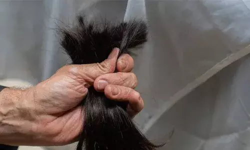 ഒരു കോടിയലധികം വിലമതിക്കുന്ന 830 കിലോഗ്രാം മുടി മോഷ്ടിച്ചു; ഹൈദരാബാദിലെ ഏജന്റുമാര്‍ക്കായി വില്‍ക്കാന്‍ ശ്രമിക്കുന്നതിനിടെ പ്രതി പിടിയില്‍; സംഭവത്തില്‍ രണ്ട് പേര്‍ കസ്റ്റഡിയില്‍