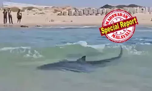 സ്രാവിന്റെ ആക്രമണത്തില്‍ മുങ്ങല്‍ വിദഗ്ധന്‍ കൊല്ലപ്പെട്ടു; സ്രാവ് ആക്രമിക്കുന്ന ദൃശ്യങ്ങളും കടല്‍ രക്തംനിറഞ്ഞ് ചുവക്കുന്നതും കണ്ട് നിസ്സഹായതയോടെ നോക്കി നിന്ന് ജനക്കൂട്ടം; നടുക്കുന്ന ആക്രമണം ഇസ്രായേലില്‍