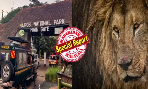 പാർക്കിൽ നിന്നും തക്കം നോക്കി ചാടി; നഗരത്തിലൂടെ രക്ഷപ്പെട്ട് ഓടി; പൊടുന്നനെ പ്രകോപനം; വീട്ടില്‍ കയറി 14 കാരിയെ കടിച്ച് കുടഞ്ഞ് സിംഹം; വലിച്ചിഴച്ച് നദിക്കരയിൽ എത്തിച്ചു; നിലവിളി കേട്ട് ഓടിയെത്തി നാട്ടുകാർ; ദാരുണ കാഴ്ച കണ്ട് പലരും കണ്ണ് പൊത്തി; ഒടുവിൽ സംഭവിച്ചത്!