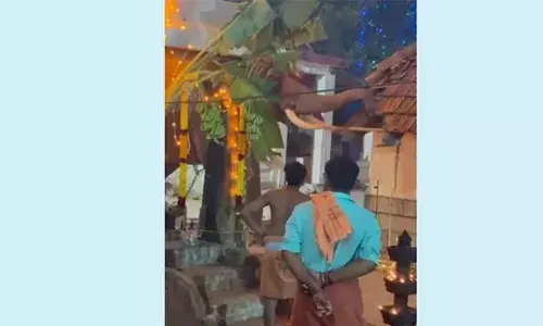 പൊഴിയൂരില്‍ ക്ഷേത്രത്തില്‍ ശീവേലിക്കിടെ ആന ഇടഞ്ഞു; തിടമ്പ് പിടിച്ച ശാന്തിയെ കുടഞ്ഞ് താഴെ വീഴ്ത്തി; ക്ഷേത്ര ഗേറ്റുകളും മരങ്ങളും തകര്‍ത്തു; ആനയെ തളച്ചത് രാത്രി രണ്ടരയോടെ