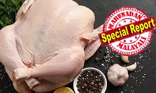 ലെറ്റിയൂസ് കഴിക്കുന്നത് കുടല്‍ കാന്‍സറിന് കാരണമായേക്കും; ആഴ്ച്ചയില്‍ നാല് തവണയില്‍ കൂടുതല്‍ ചിക്കന്‍ കഴിച്ചാലും ക്യാന്‍സര്‍ സാധ്യത ഏറെ: ഭക്ഷണപ്രിയരെ നിരാശപ്പെടുത്തുന്ന രണ്ടു ദുരന്ത വാര്‍ത്തകള്‍ അറിയാം