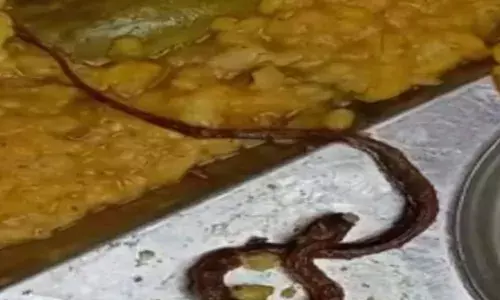 സ്‌കൂളിലെ ഉച്ചഭക്ഷണത്തില്‍ ചത്ത പാമ്പിനെ കണ്ടെത്തി; ഭക്ഷ്യവിഷബാധ; 200 കുട്ടികള്‍ ആശുപത്രിയില്‍