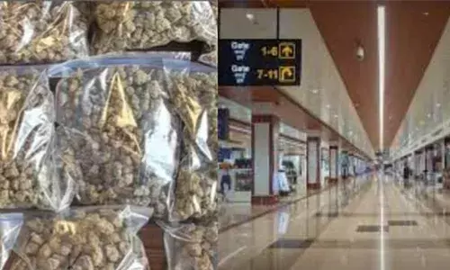 നെടുമ്പാശ്ശേരി വിമാനത്താവളത്തില്‍ വന്‍ ലഹരിവേട്ട; കൊച്ചിയില്‍ നിന്ന് റാസല്‍ഖൈമയിലേക്ക് കടത്താന്‍ ശ്രമിച്ച അഞ്ചര കോടിയുടെ ഹൈബ്രിഡ് കഞ്ചാവ് പിടികൂടി; കേരളത്തില്‍നിന്ന് വിദേശത്തേക്ക് കടത്താനുള്ള ശ്രമം ഇതാദ്യം