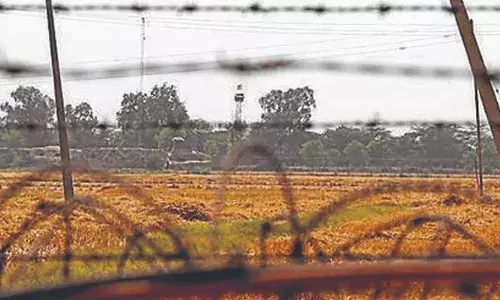 ഇന്ത്യ-പാകിസ്താന്‍ അതിര്‍ത്തിയിലെ കര്‍ഷകരോട് 48 മണിക്കൂറിനകം വിളവെടുക്കാന്‍ നിര്‍ദേശം നല്‍കി ബിഎസ്എഫ്; 530 കിലോ മീറ്റര്‍ നീളമുള്ള അന്താരാഷ്ട്ര അതിര്‍ത്തിയില്‍ 45,000 ഏക്കറിലാണ് കൃഷി