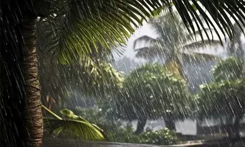 സംസ്ഥാനത്ത് അഞ്ച് ദിവസം ഒറ്റപ്പെട്ട മഴയ്ക്ക് സാധ്യത; വിവിധ ജില്ലകളില്‍ യെല്ലോ അലര്‍ട്ട്