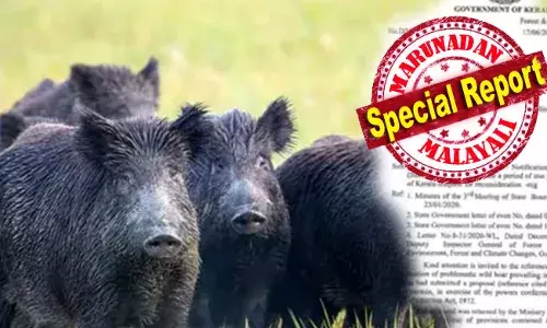 കാട്ടുപ്പന്നിയേയും കുരങ്ങനേയും ക്ഷുദ്ര ജീവിയാക്കിയാല്‍ മലയോരത്തിന് ഇടതിനോടുള്ള സ്‌നേഹം കൂടുമെന്ന് വിലയിരുത്തല്‍; ക്ഷുദ്രജീവി പ്രഖ്യാപനം ഏറ്റെടുക്കാന്‍ പുതിയ ബില്ലുമായി വനംവകുപ്പ്; തദ്ദേശ തിരഞ്ഞെടുപ്പിന് മുമ്പ് പുതിയ നിയമനിര്‍മ്മാണം; അഡ്വക്കേറ്റ് ജനറലിന്റെ നിയമോപദേശം നിര്‍ണ്ണായകമാകും; നിയമസഭ പ്രമേയം പാസാക്കിയാല്‍ ഏത് മൃഗവും ക്ഷുദ്രജീവിയാകുമോ?