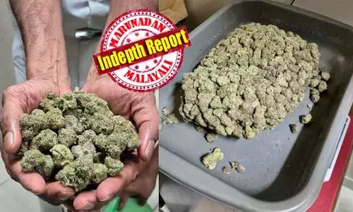 അകാല വാര്‍ധക്യം വന്ന് മെലിഞ്ഞുണങ്ങിയുള്ള മരണമാണോ നമ്മുടെ ചില താരങ്ങളെ കാത്തിരിക്കുന്നത്! മണ്ണില്ലാതെ പോഷക ലായനിയില്‍ വളരുന്ന ലഹരി; വില കിലോയ്ക്ക് ഒരു കോടി വരെ; തലച്ചോറിന് 2.8 വര്‍ഷം വേഗത്തില്‍ പ്രായം കൂട്ടും; മലയാള സിനിമയെ പിടിച്ചുകുലുക്കുന്ന ഹൈബ്രിഡ് കഞ്ചാവിന്റെ കഥ