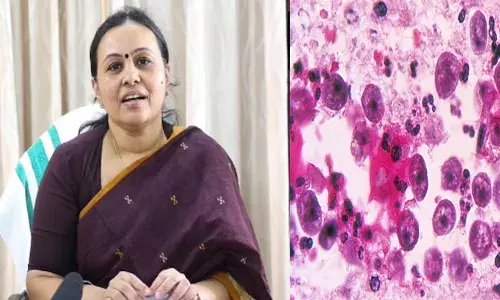 ഒഴുക്കില്ലാത്ത വെള്ളത്തിൽ ഇറങ്ങരുത്; ചൂട് സമയത്ത് ജാഗ്രത പുലർത്തണം; ആശുപത്രി നിർദ്ദേശങ്ങളും കൃത്യമായി പാലിക്കണം; അമീബിക്ക് മസ്തിഷ്‌ക ജ്വരത്തിനെതിരെ മാർഗരേഖ പുറത്തിറക്കി